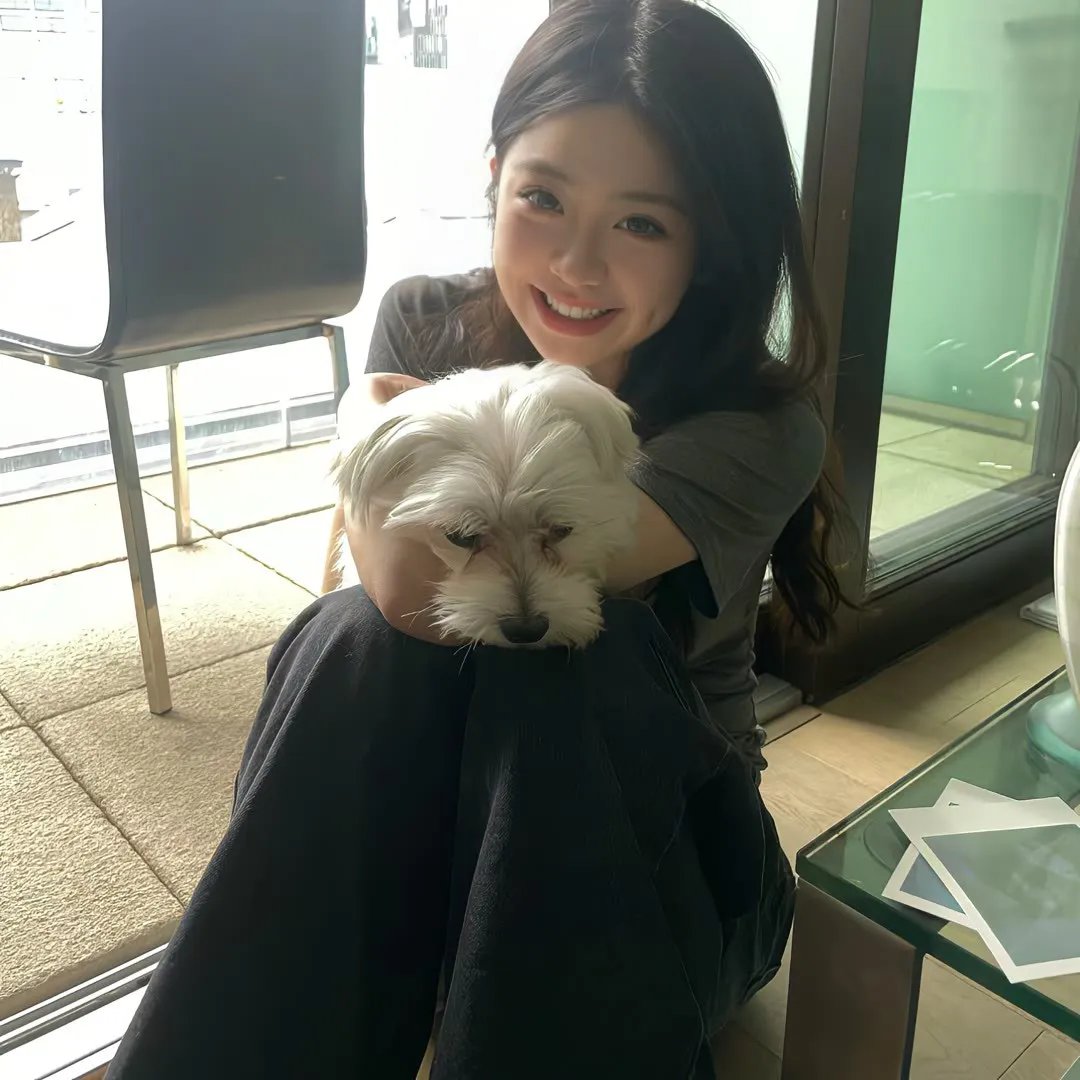 红杏劫粤语